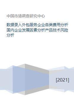 软件外包服务企业多维剖析 成本结构、发展要素与技术风险管理