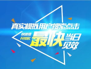 蜂鸟搜索营销系统 赋能上海企业高效网络推广的专业外包服务