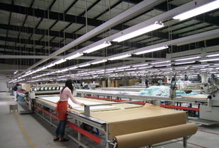 优质工厂成稀缺资源 从服装加工到软件外包，解析“订单发不出去”背后的结构性变革