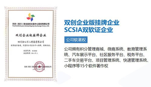 成都软件开发 自建团队与外包服务，如何选择更优？